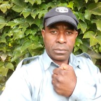 Daniel Caetano Veloso