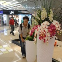Amy Cheng