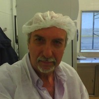 Rafael Dachevsky