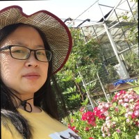 Elly Zhang