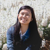 Stephanie T Ma
