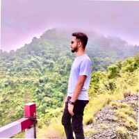 Mukul Narang