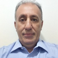 Henrique Flavio Fernandes