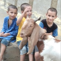 Dr.Muhammad Ziauddin Chanar