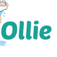 Ollie Baby Spa