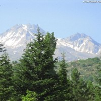 METİN Güvenler Tekstil E-Posta