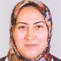 Marwa A. Khalifa
