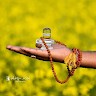 Kalusulingam M