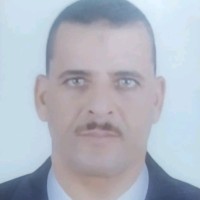 Ayman Mohamed Ahmed