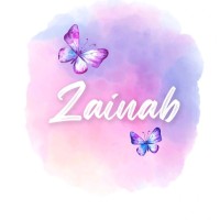 Zainab Haseeb