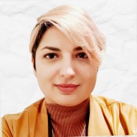 Narges M. Mehdipour