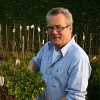 Robin Wallis
