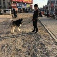 尚庆军