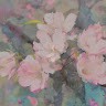 Anna Manole