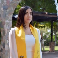 Jesús Aylin Beltran Navarro