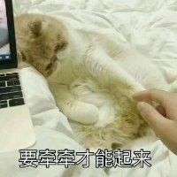 李敬文