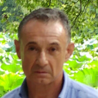 Graziano Fiumi