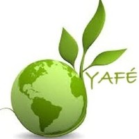 Yafe Consultants