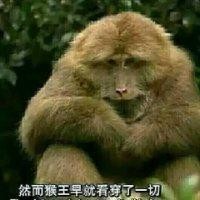 侯亚明