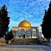 Moatasem Abu Sholdom