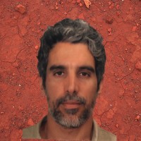 Andrea Lisi