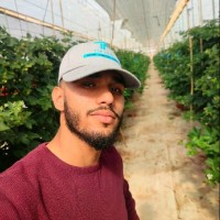 Aymane Bel Hamdi