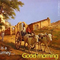 Shib Sankar Mitra