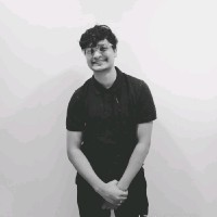 salman faiz ali khan