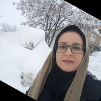 Leila Aminzadeh