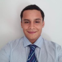 Martín Bringas Alva