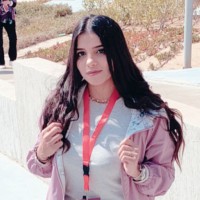 Hanan Ali