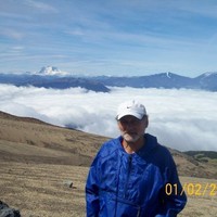 Herrmann Alfredo