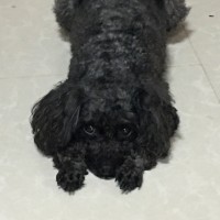 徐远东