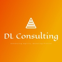 DL Consulting