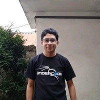 Carlos Ángel Gándara Alemán