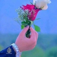 عصام ناصر