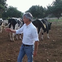 Alessandro D'Agata