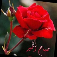 Hussein Jebarah