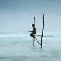 聂道康