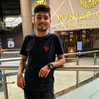 Kaushik Nimawat