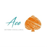 Ace Agency