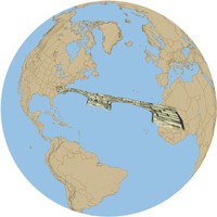 The WBA Africa