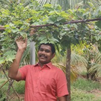 vasanth mariappan