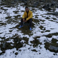 Vikas Dhuliya