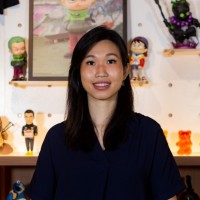 Shengyi Han