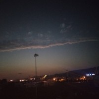 魏义杰