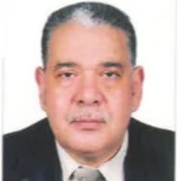 Mohamed Alzafarani