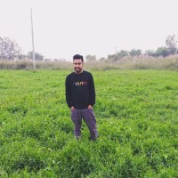 sumon mahmud