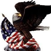 Eagle Auto Glass