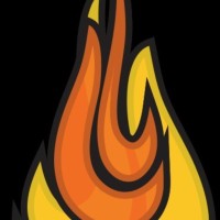Doughlicious LLC Concepts